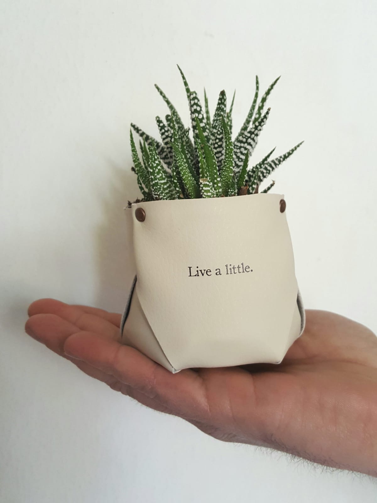 Instant Mother’s Day Gifts: Quick & Thoughtful Ideas for Mom