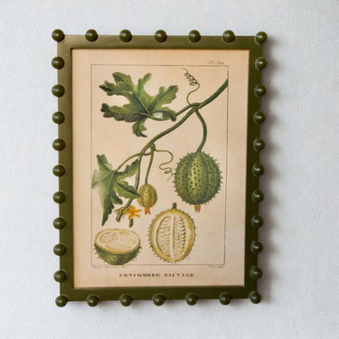 The bobble framed fruit wall art brings rustic charm to your home with its classic green bobble frame and soft-toned fruit illustration.