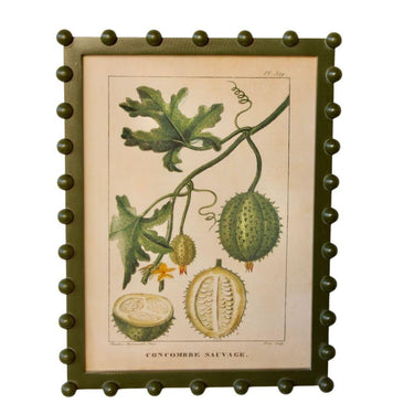 bobble framed fruit wall art with green border and vintage fruit illustration