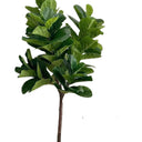an artificial fiddle leaf plant