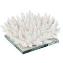 Spiked white coral on clear glass stand, bold coastal sculpture for home décor