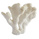 Decorative White Coral Sculpture - Small