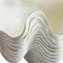 decorative shell showing smooth interior and textured finish