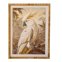 White parrot print in a natural rattan frame
