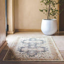 Decorative rug with intricate patterns on a wooden floor, accompanied by a white pot with green plants.