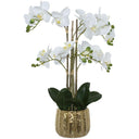 Realistic white orchid flowers with lifelike green leaves in a decorative gold pot