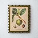 bobble framed fruit wall art displayed on a plain white wall in gallery-style layout