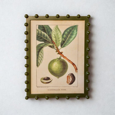 bobble framed fruit wall art displayed on a plain white wall in gallery-style layout
