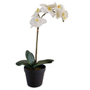 Artificial orchid in a black planter that offers your home everlasting natural highlights.