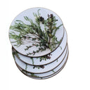 Set of 6 reusable fynbos coasters with botanical floral print
