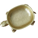 Decorative gold catchall trays in turtle shape