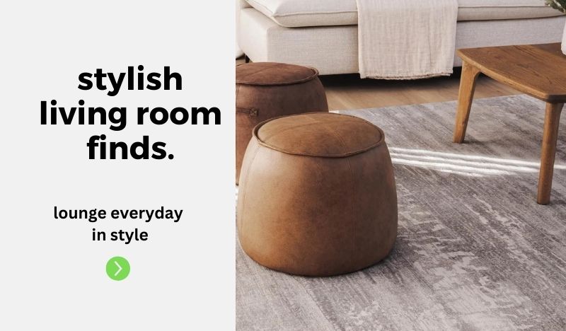 stylish living room furniture