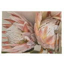 King Protea disposable placemats pack of 25