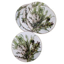coasters showcasing native South African wildflowers, designed to protect your table surfaces