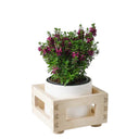 Planter Box