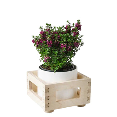 Planter Box