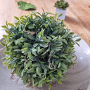 tendrils topiary ball on tabletop