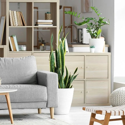 18 Coastal Home Decor Must Haves Items