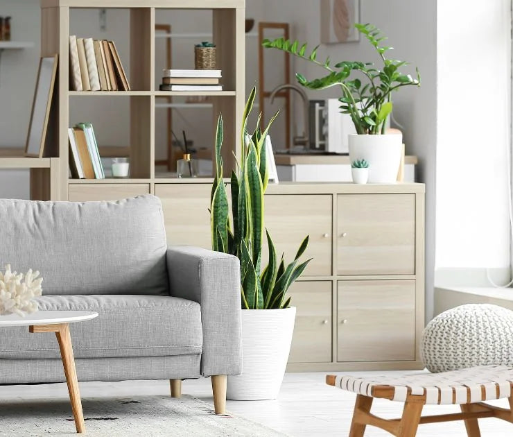 18 Coastal Home Decor Must Haves Items