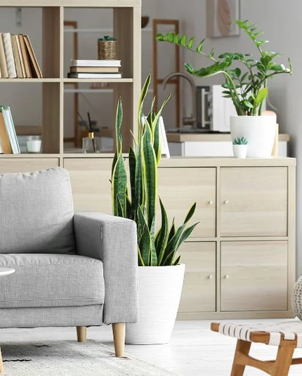 18 Coastal Home Decor Must Haves Items