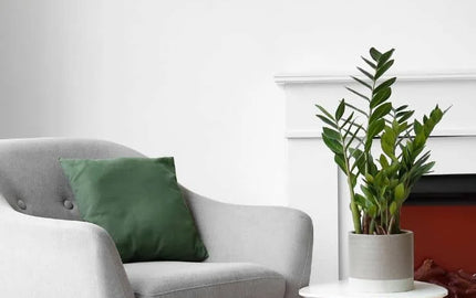 Faux Fooled: Easily Beautify With Artificial Plants