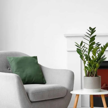 Faux Fooled: Easily Beautify With Artificial Plants