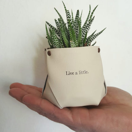 Instant Mother’s Day Gifts: Quick & Thoughtful Ideas for Mom