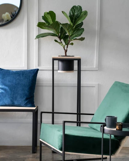pots or plants for indoor and garden decor.