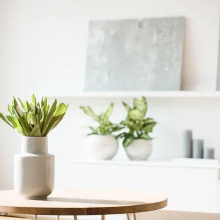  Home Decor Accessories