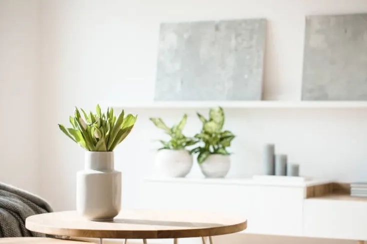  Home Decor Accessories