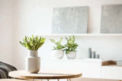  Home Decor Accessories