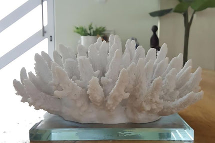 coastal decor accessories and furniture for the home woodka interiors