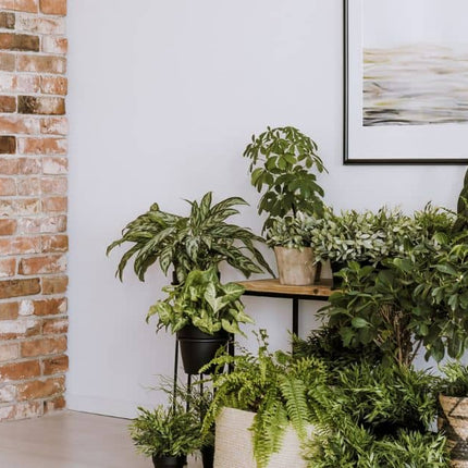  Style Your Home With Artificial Plants