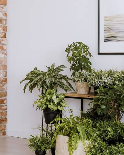  Style Your Home With Artificial Plants
