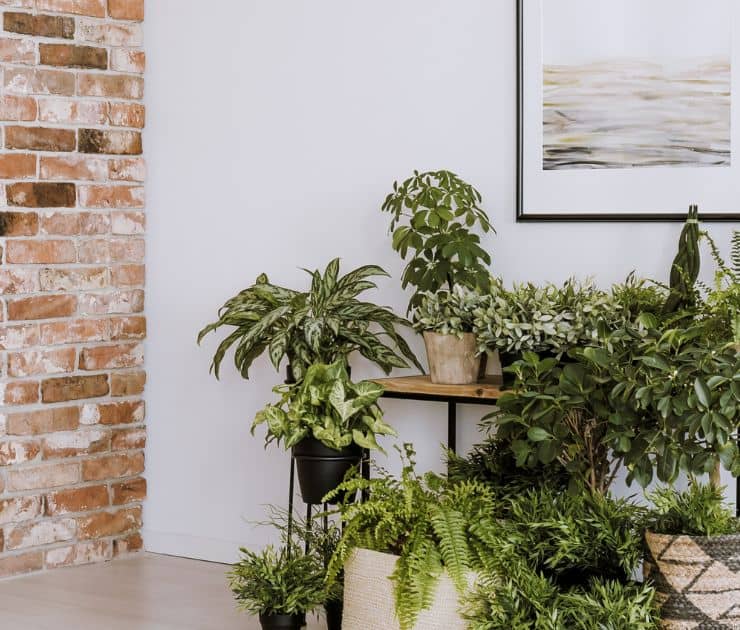  Style Your Home With Artificial Plants
