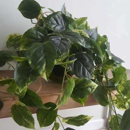  Faux Plants Woodka Interiors 