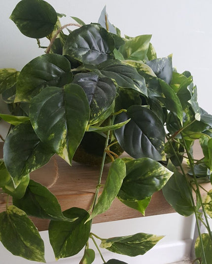  Faux Plants Woodka Interiors 