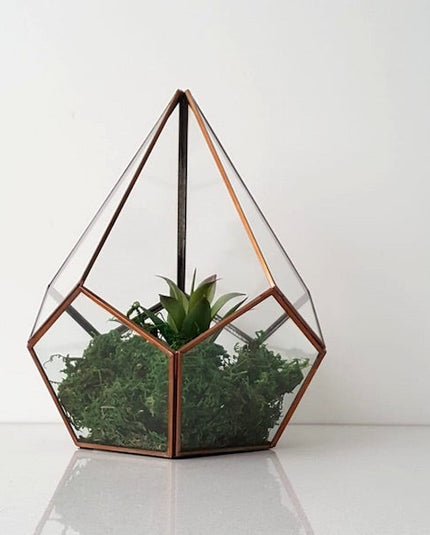Terrarium Ideas For A Beautiful Display