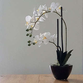 Real-touch artificial orchid plants for low-maintenance, natural beauty in your home decor.