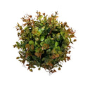 21cm artificial eucalyptus greenery ball with dense foliage and autumnal spiced copper hues.
