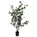 Artificial eucalyptus plant in a pot on a white background