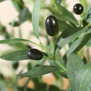 faux black olives on an olive branch with green leaves.