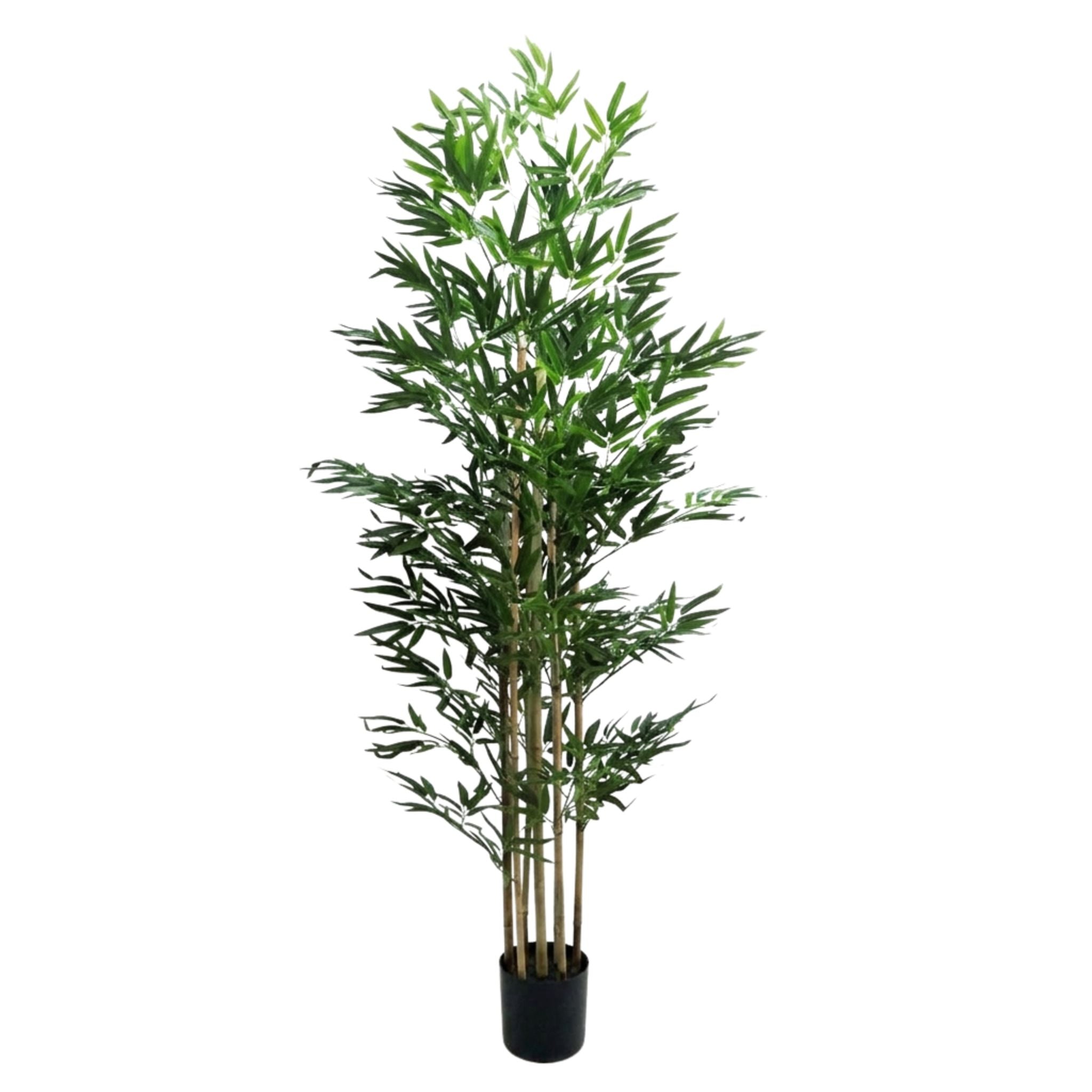 Large 200cm artificial bamboo tree with seven realistic trunks and abundant green leaves in black pot