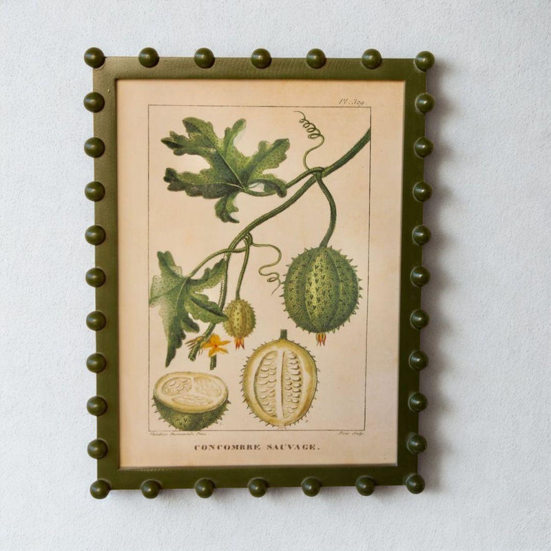 bobble framed fruit wall art with green border and vintage wild cucumber fruit illustration