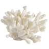 Coral Decor Object Classic