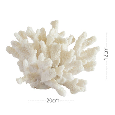 Coral Decor Object Classic size guide