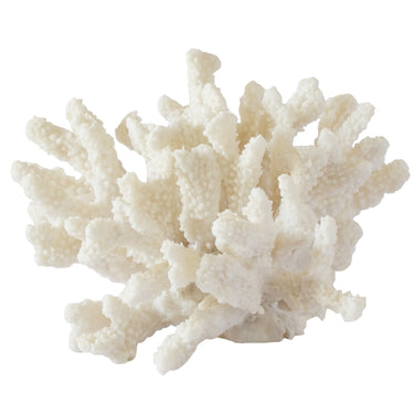 Compact white coral decor object with textured surface, ideal for beach house decor