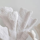 Close-up of textured large white coral  sculpture