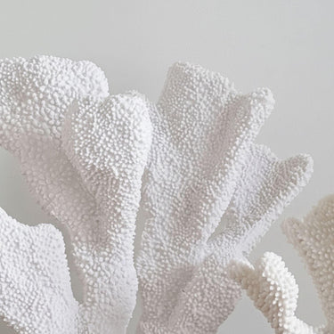 Close-up of textured large white coral  sculpture