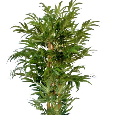 Faux Bamboo Plant Potted Green Leaves